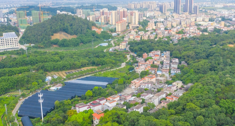 Shenwan - Hong Kong
